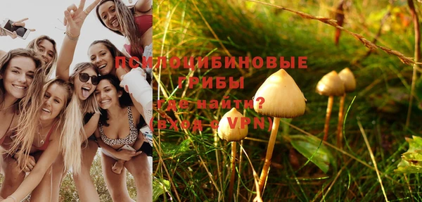 прущая мука Алексин