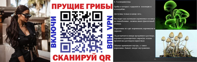 Псилоцибиновые грибы Magic Shrooms  Дегтярск 